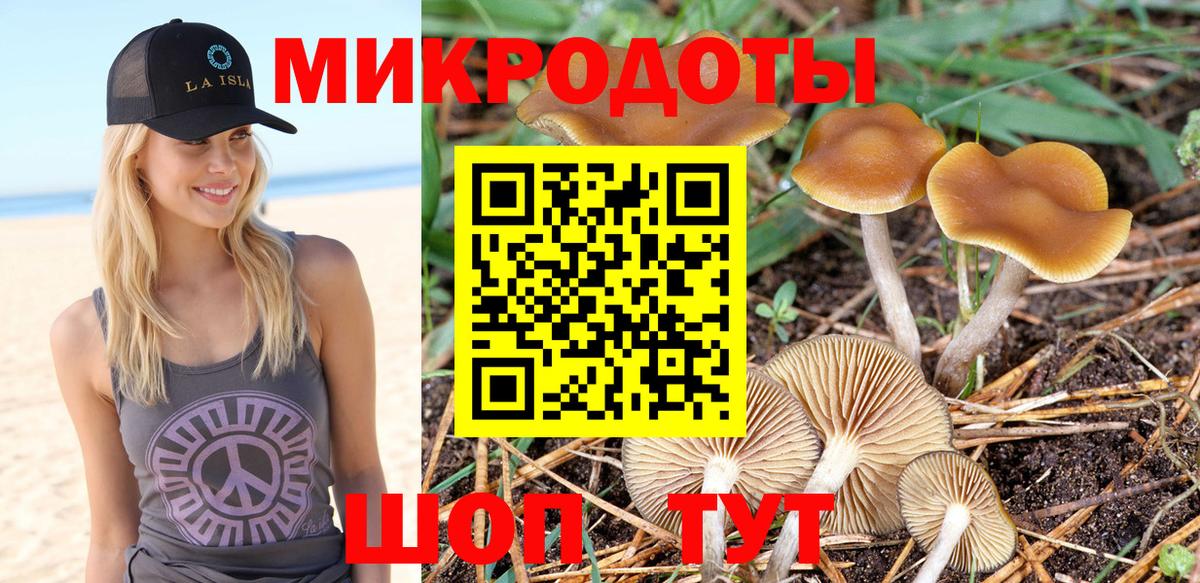 Галлюциногенные грибы мицелий  Вход с VPN  Нижнеудинск 