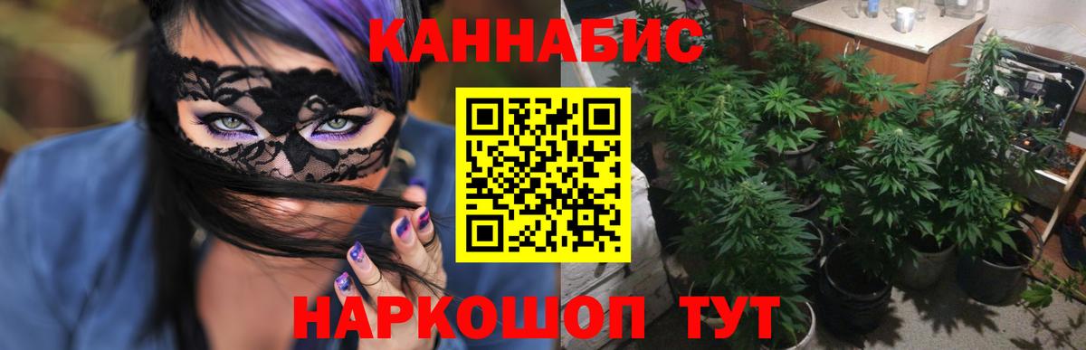 Шишки марихуана тримм Нижнеудинск